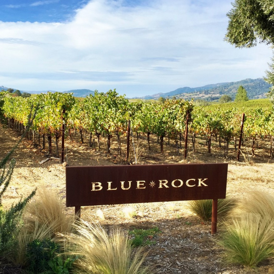 Sonoma County Wine Country Escape — 3-Night Vineyard Cottage Stay & Wine Experience