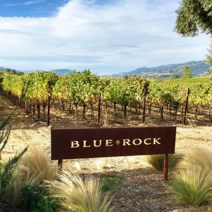 Sonoma County Wine Country Escape — 3-Night Vineyard Cottage Stay & Wine Experience