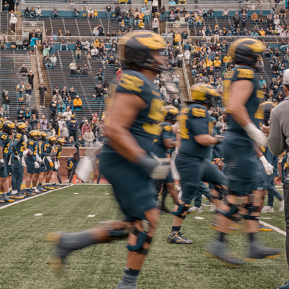 Pregame Sideline Access - vs. Western Michigan