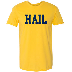 Valiant University of Michigan ''HAIL'' Tee