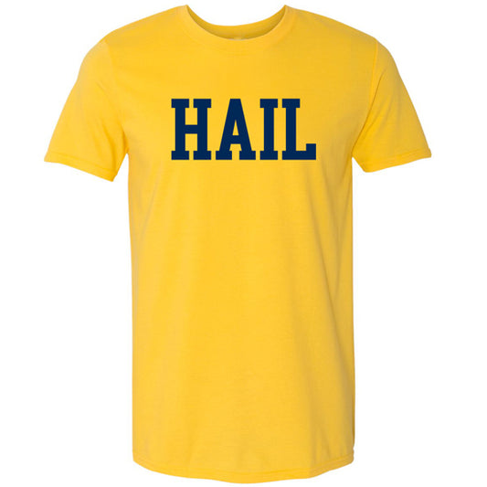 Valiant University of Michigan ''HAIL'' Tee