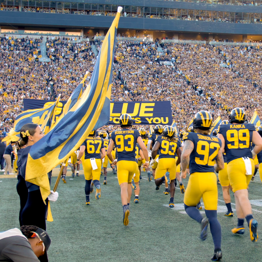 Banner Touch + Full-Game Sideline Access — vs. Indiana